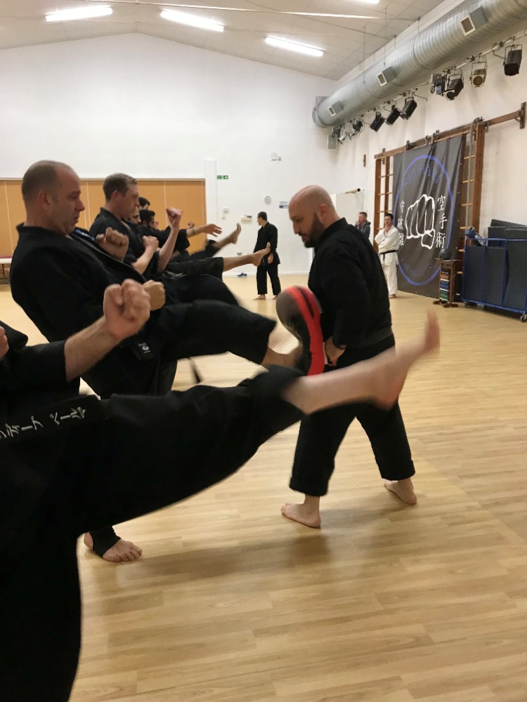 Adults training - Image 7